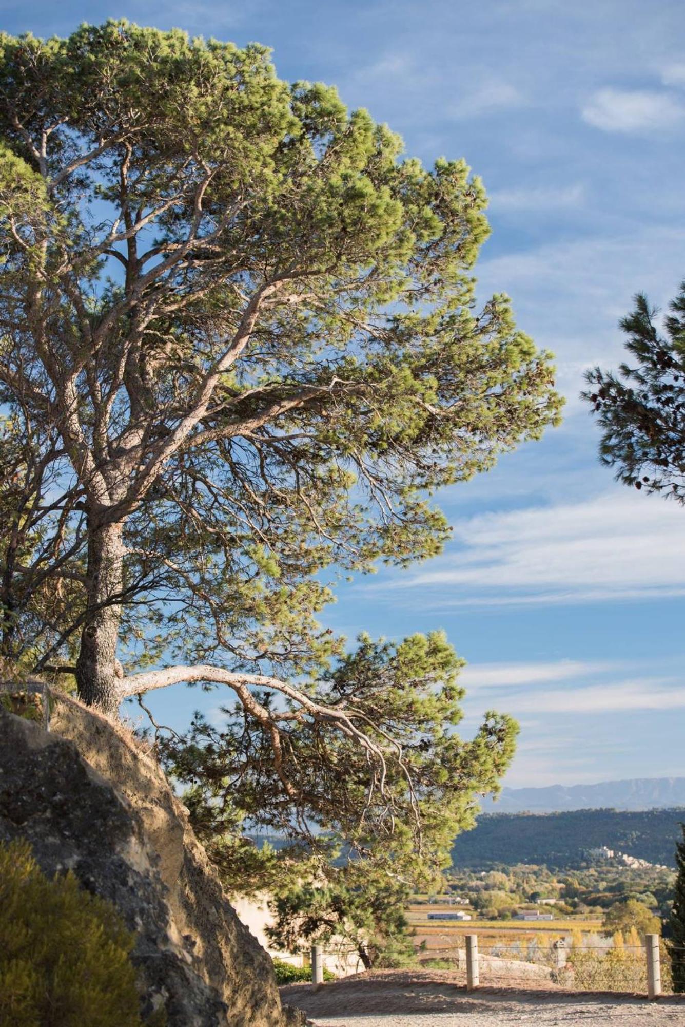 Charmante Maison De Village Au Coeur Du Luberon Кюкюрон Экстерьер фото